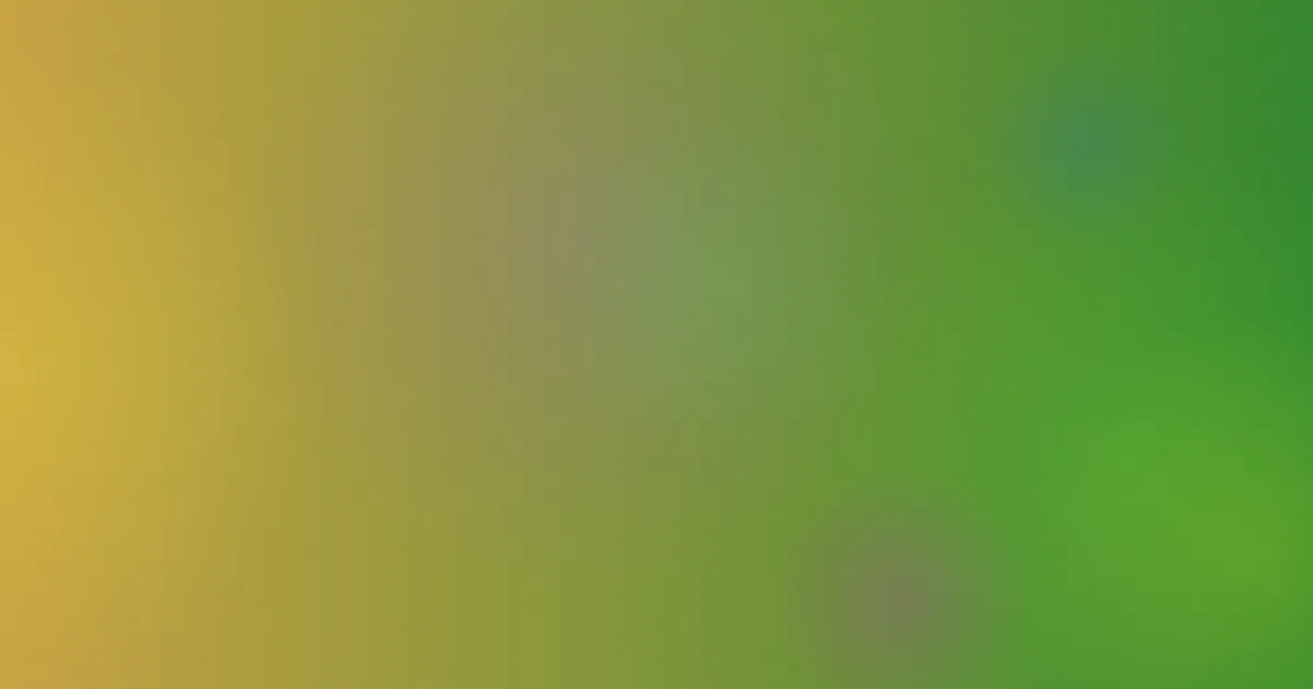 岛仓千代子避坑指南